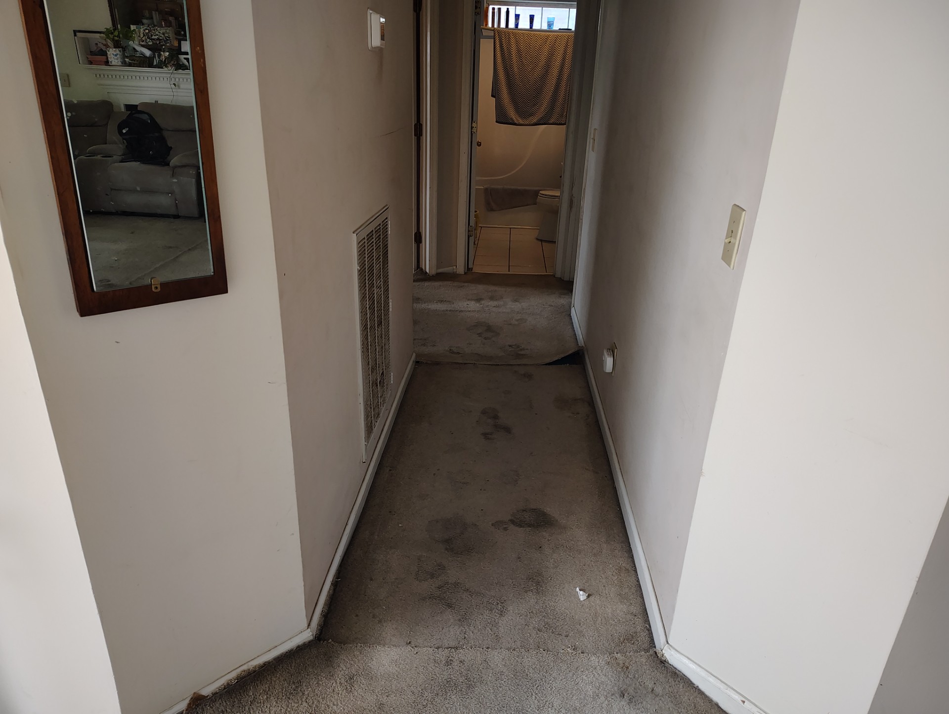 Hallway with existing carpet before it is replaced with Luxury Vinyl Plank flooring